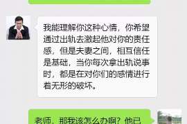 路南婚姻调查：无效或者被撤销的婚姻的法律后果